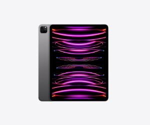 IPAD PRO 11 INCH (WIFI) - Gray, 256 GB
